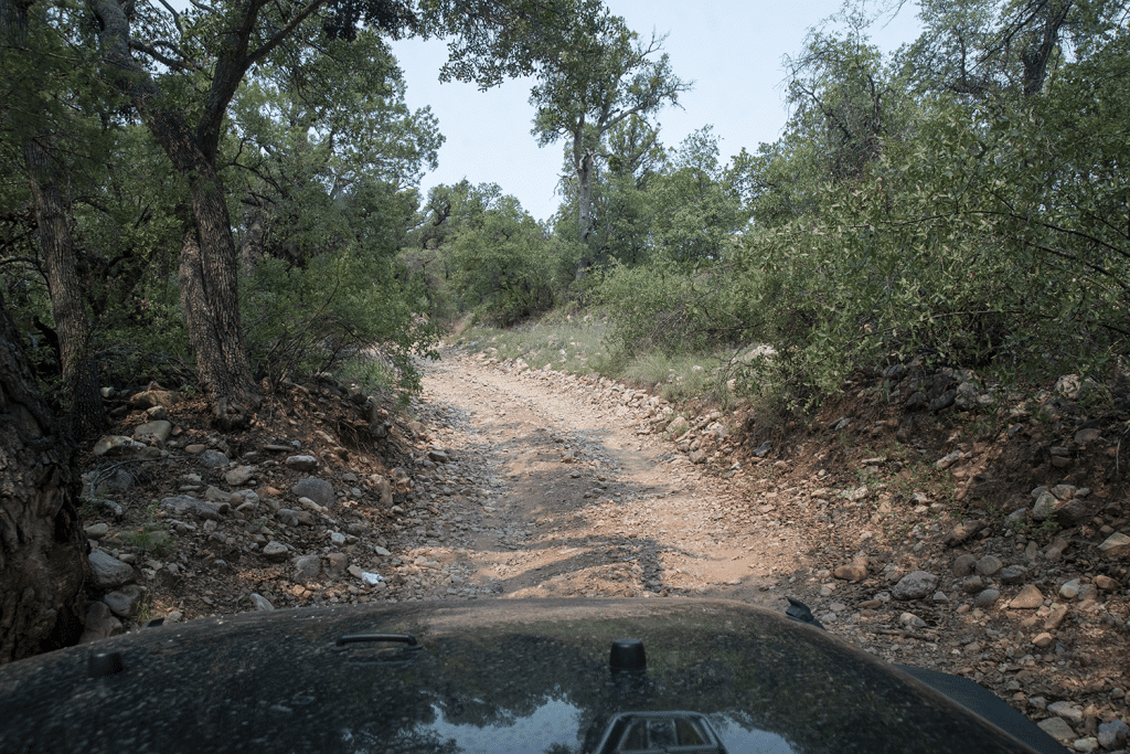 jeep gardner canyon trail hood