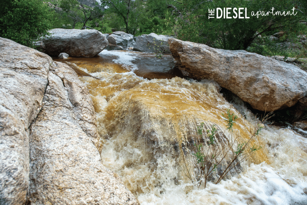 mt lemmon molino basin 1