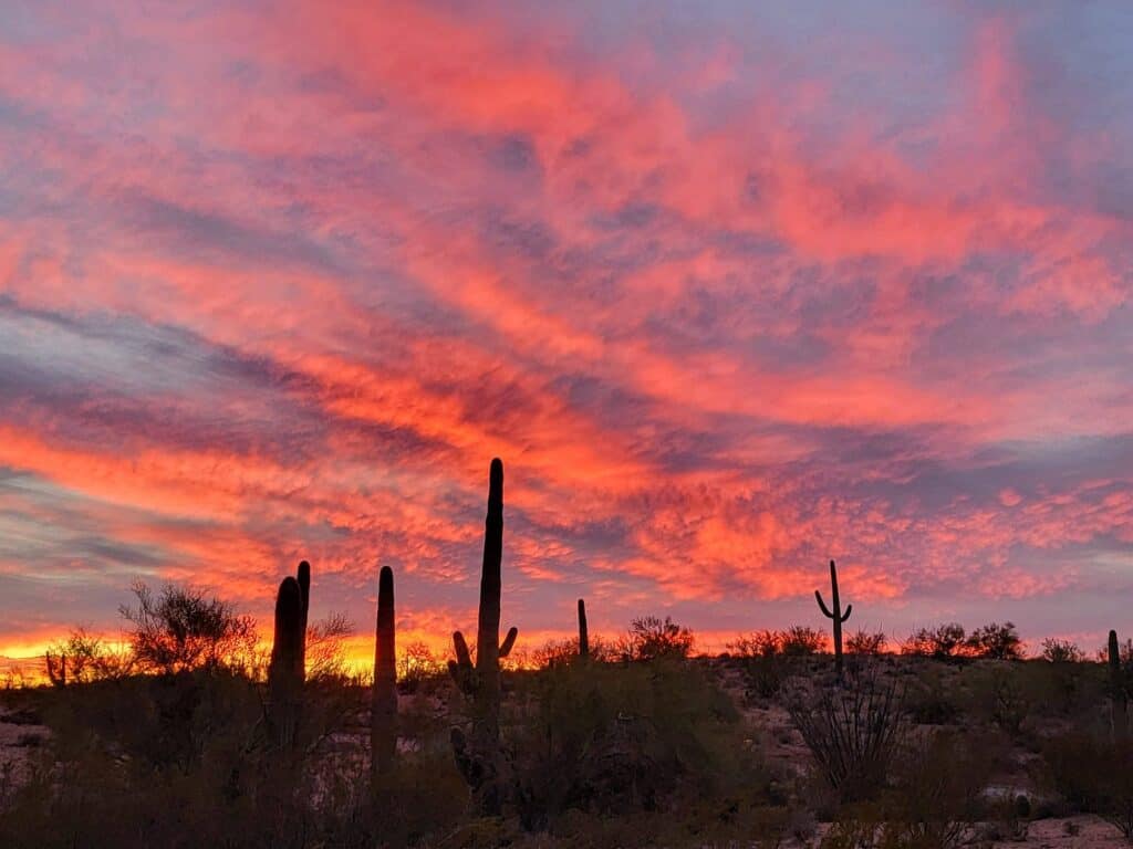 This Tiny Arizona Town Was Built On Copper And Reinvented Itself With Art 5 image 5